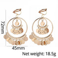 Load image into Gallery viewer, Tandis Metallic Sequined Earrings Bohemian Circle Pierce & Clip-on