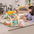 Load image into Gallery viewer, 3 in 1 Baby Gym Playmat Learning Walker
