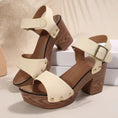 Load image into Gallery viewer, Sarah Chunky Block Heel Ankle Strap Platform Sandals
